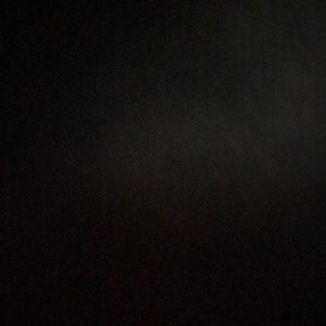 Meet your Posher, Joey